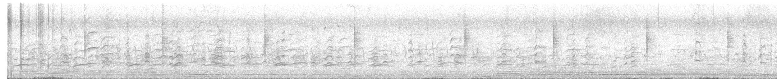 Black-winged Stilt - ML647756084