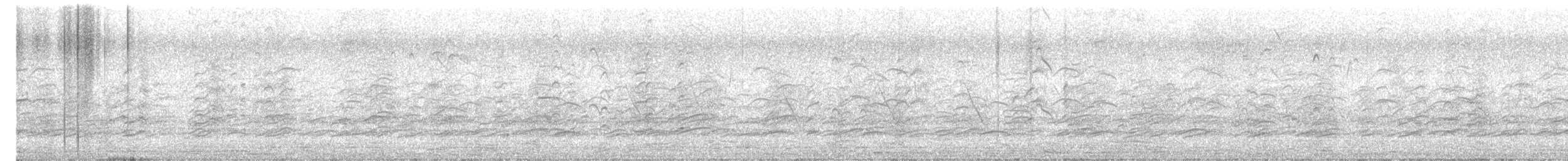 Black-winged Stilt - ML647756085