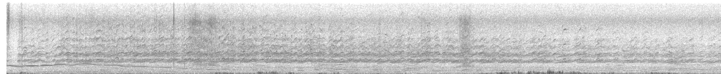 Black-winged Stilt - ML647756086