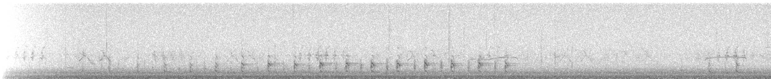 Wilson's Snipe - ML647756104