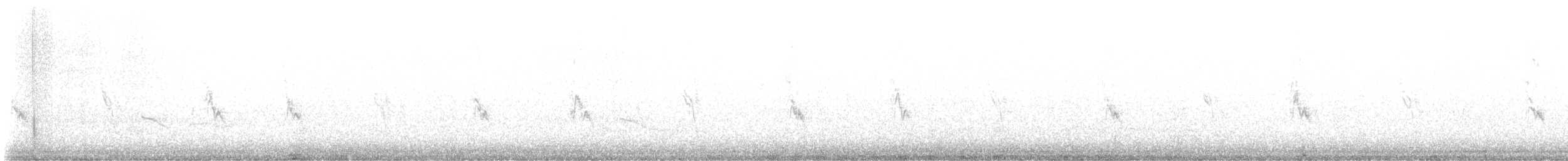 Common Raven - ML647756348