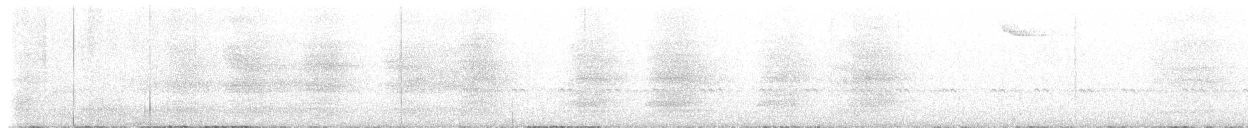 Cuitlacoche Chucho - ML647756677