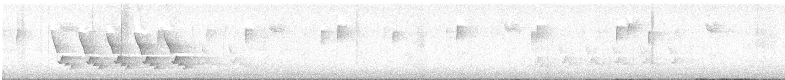 Carolina Wren - ML647756797