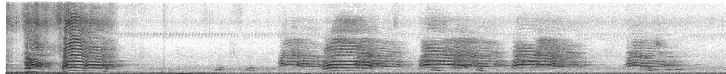 Hadada Ibis - ML647756914