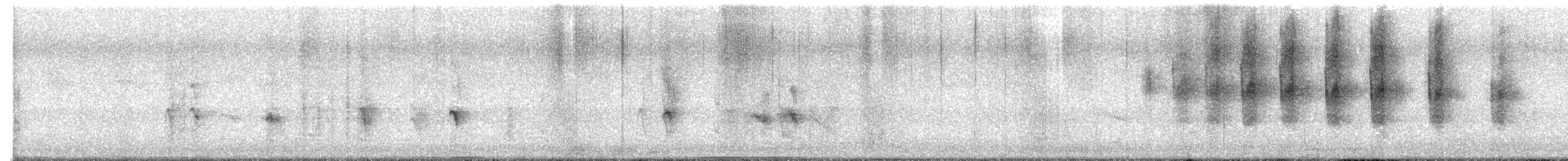 Speckled Mousebird - ML647756924