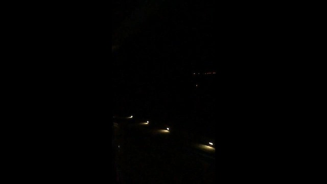 Gabai arre atlantikoa - ML647757218