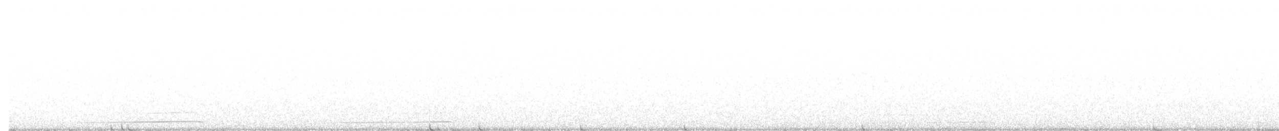 Northern Saw-whet Owl - ML647757225