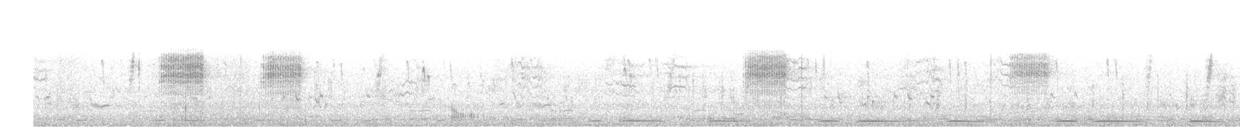 Bay-backed Shrike - ML647757289