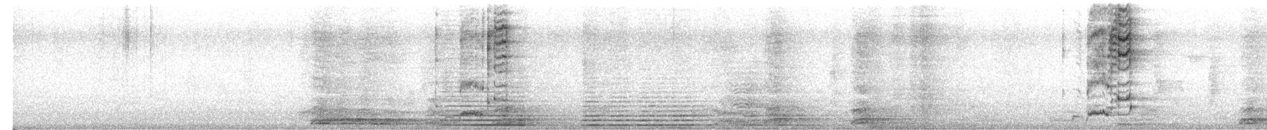 Rufous Treepie - ML647757386