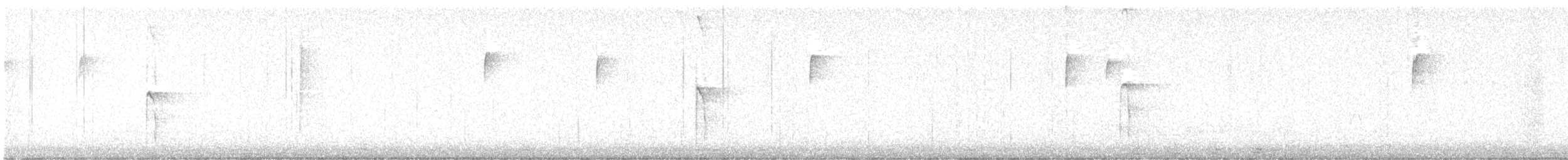 Hairy Woodpecker - ML647757498