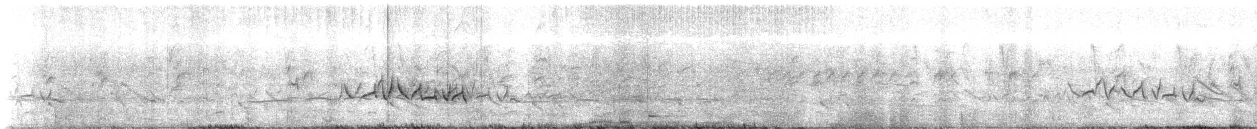 Ashy Cisticola - ML647757547