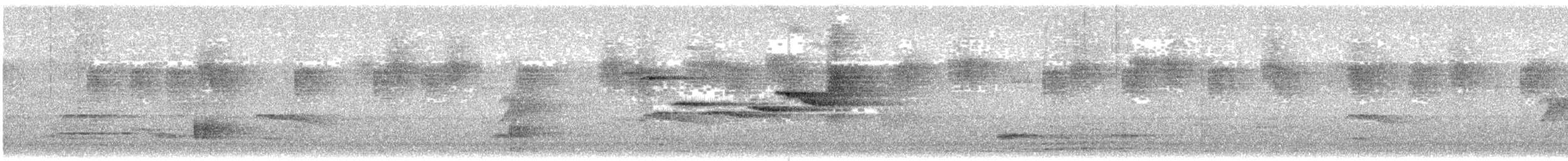 bird sp. - ML647757664