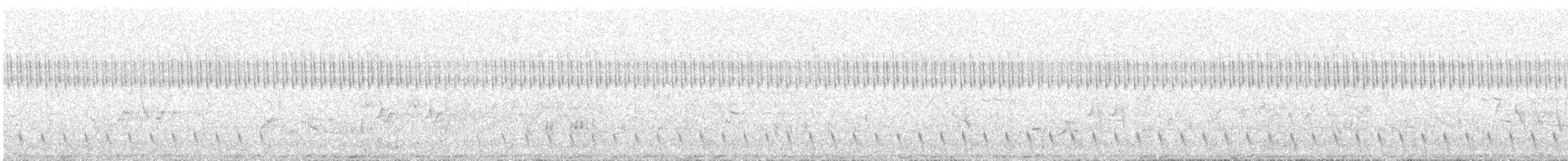 Gray Nightjar - ML647757751