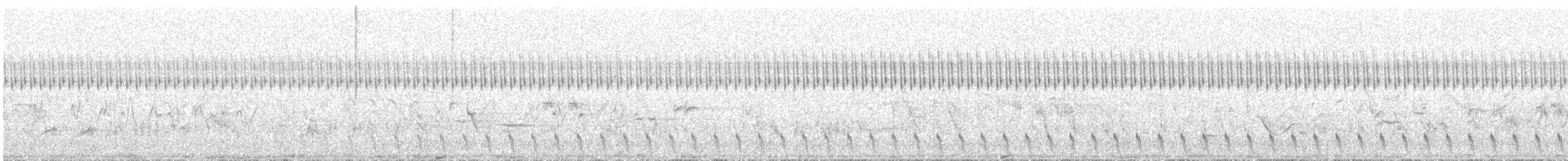 Gray Nightjar - ML647757752