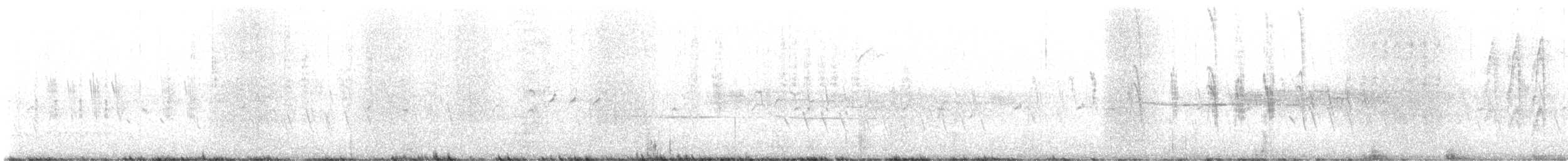 California Quail - ML647758007