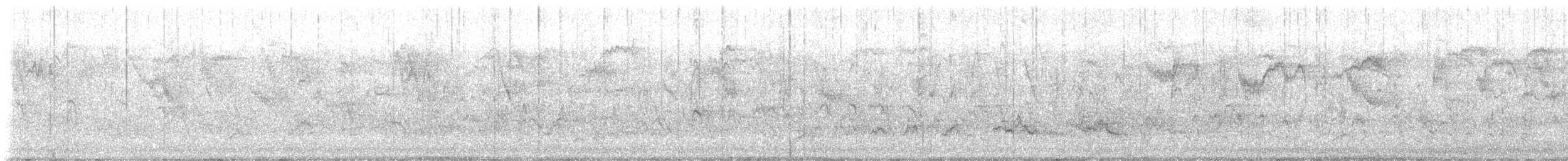 American Robin - ML647758376