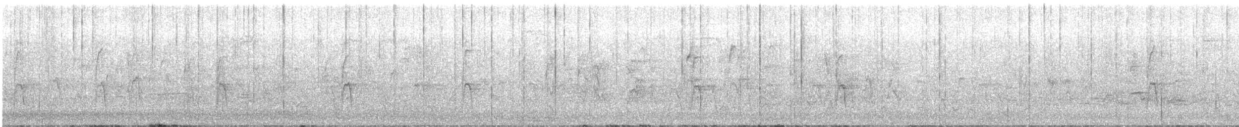 American Robin - ML647758413