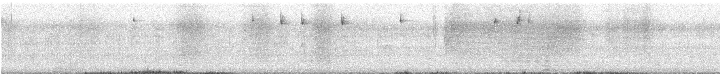 מלכילון האורנים - ML647758935