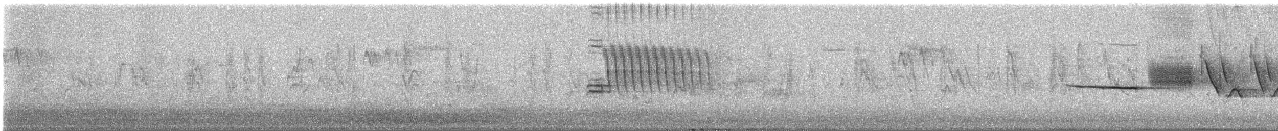 Benekli Tovi - ML647759295