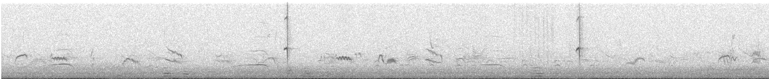 Giant Hummingbird - ML647760215