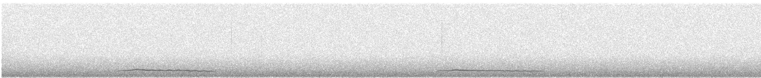 výreček americký [skupina asio] - ML647760226