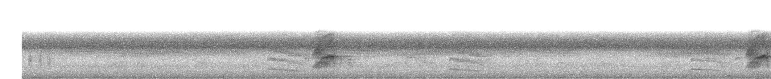 himalayaparakitt - ML647760305