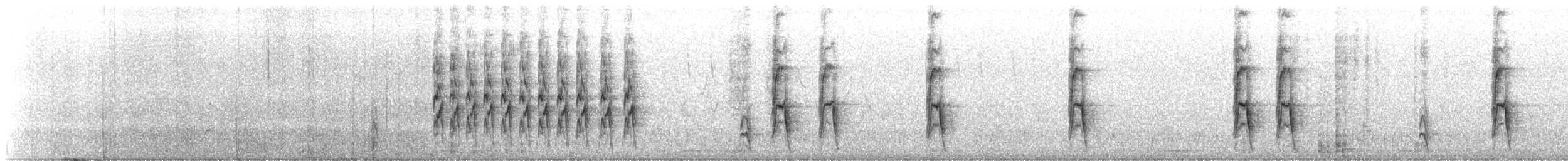 American Robin - ML647760391