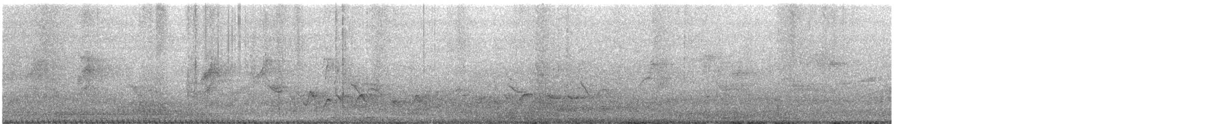 Indian Paradise-Flycatcher - ML647760854