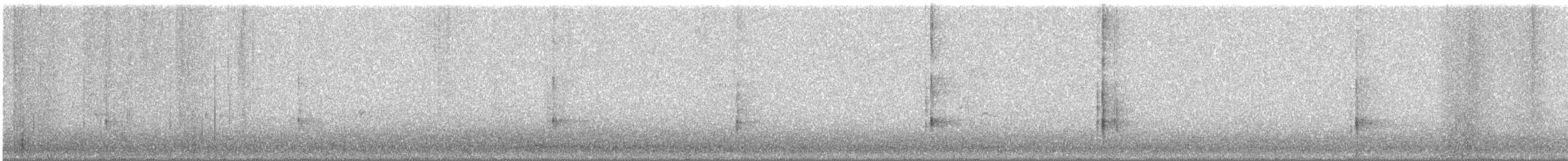 Black-backed Woodpecker - ML647760864