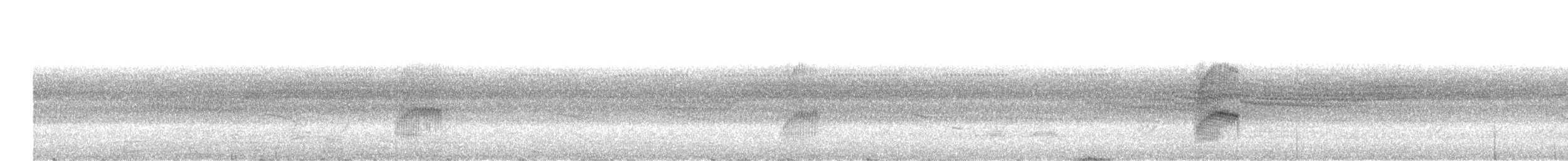 himalayaparakitt - ML647760894