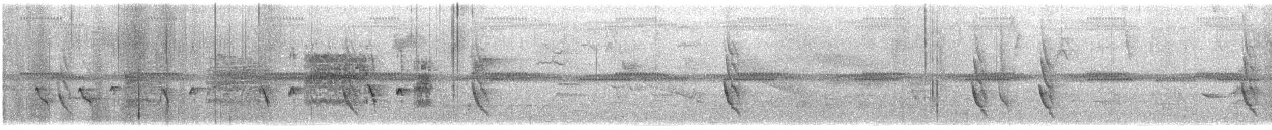 Тілугі санта-мартський - ML647761054