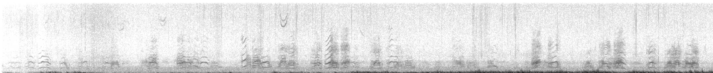 Snow Goose - ML647761918