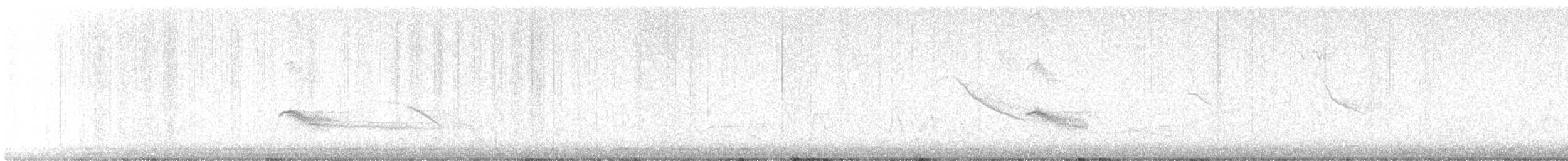 European Starling - ML647761929