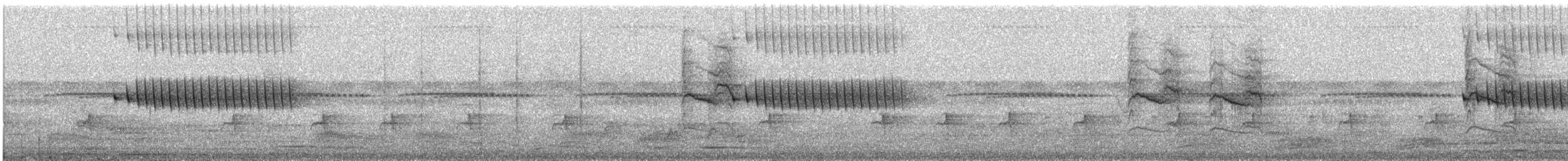 Black Cuckooshrike - ML647761978