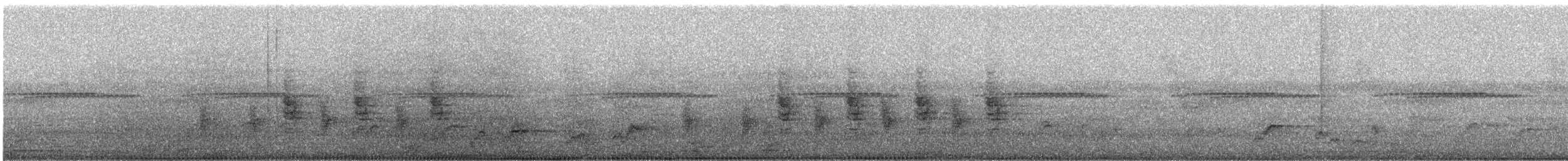 Black-throated Wattle-eye - ML647762030