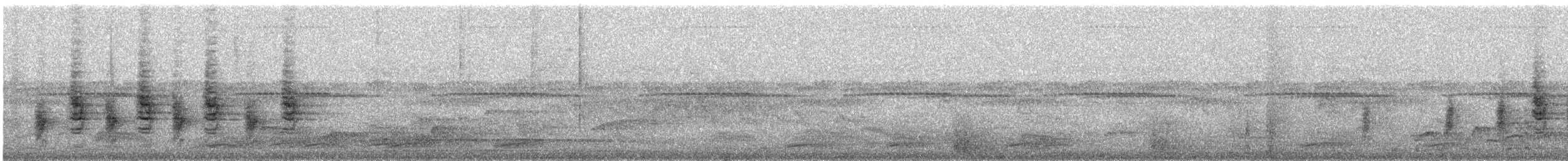 Black-throated Wattle-eye - ML647762031