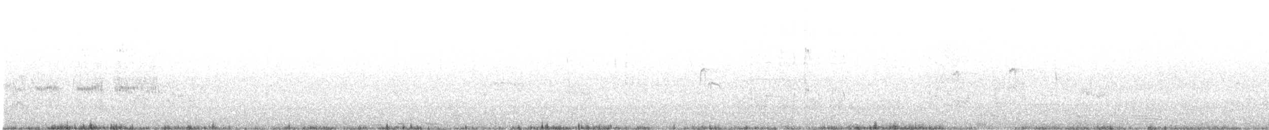 Wilson's Plover - ML647762036