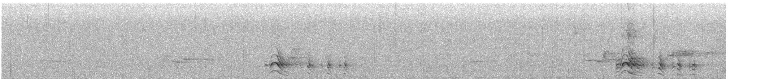 White-tipped Quetzal - ML647762159