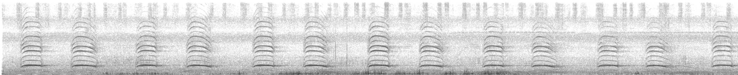 Laughing Falcon - ML647762199