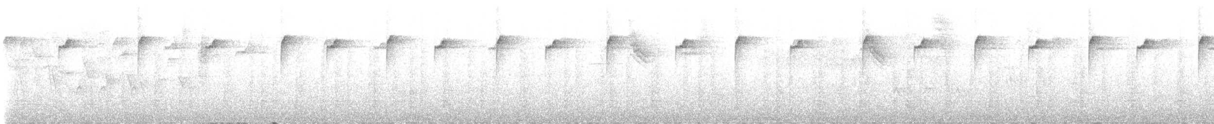 Tawny-bellied Hermit - ML647762221