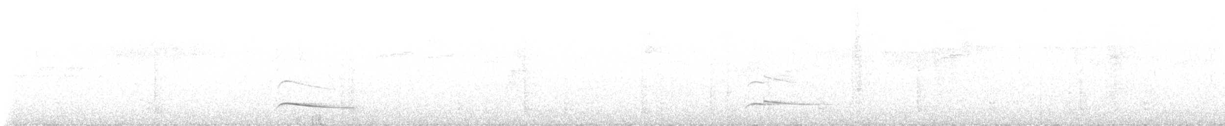 ヨコジマノスリ - ML647762276