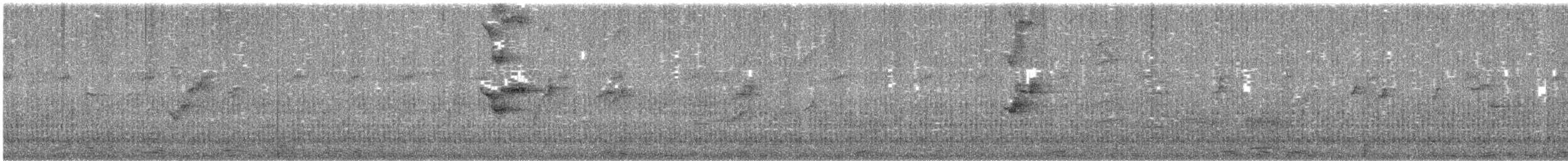 Lorito Cabecipardo - ML647762437