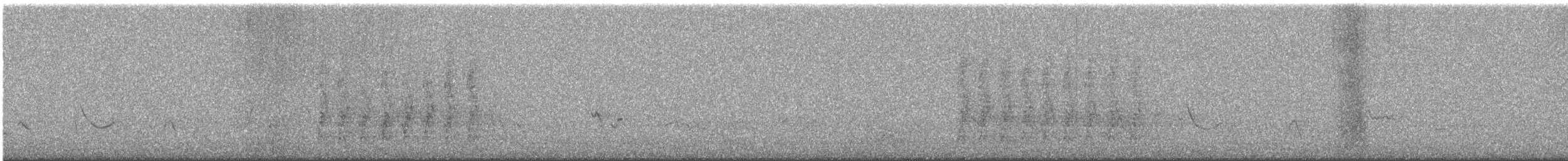 Steller's Jay - ML647763092