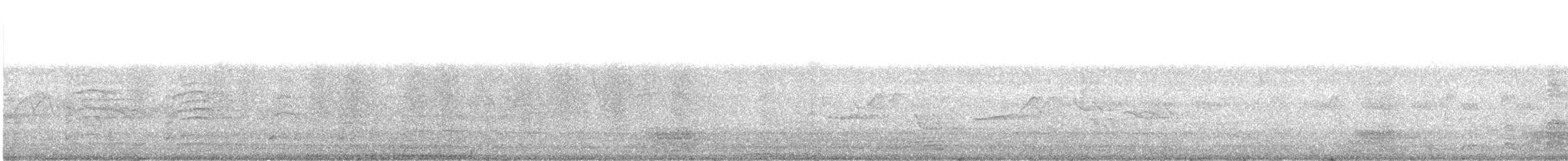 Malabar Pied-Hornbill - ML647763305