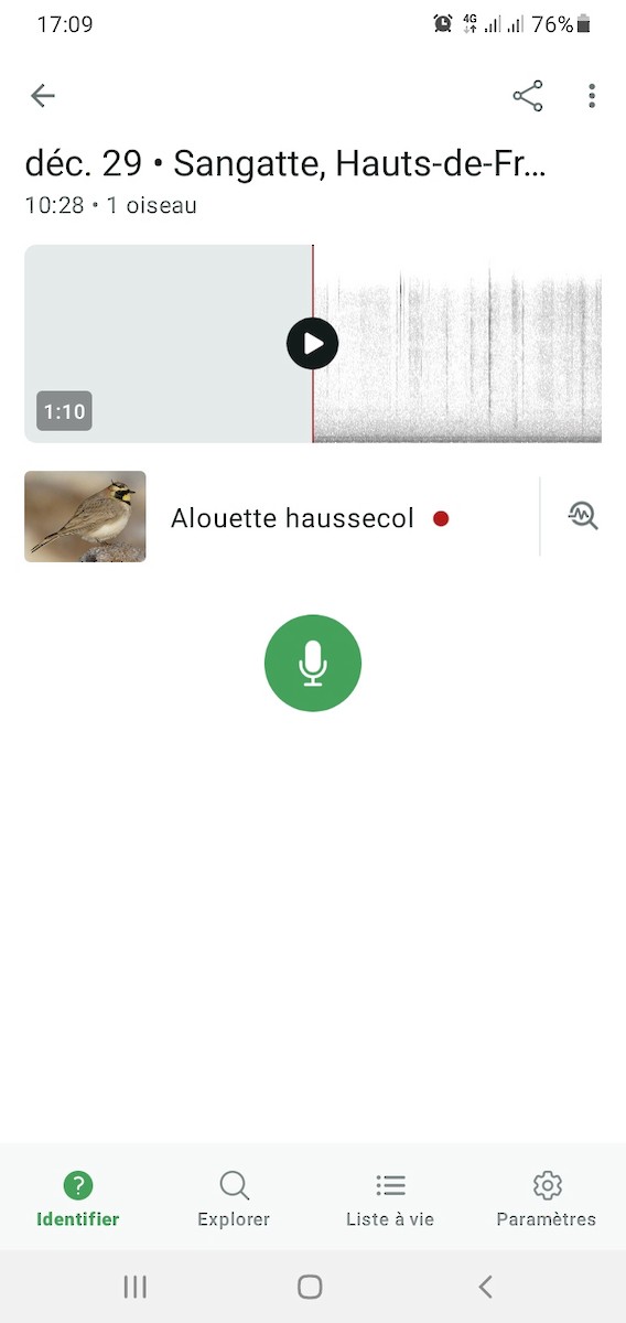 Жайворонок рогатий - ML647763851