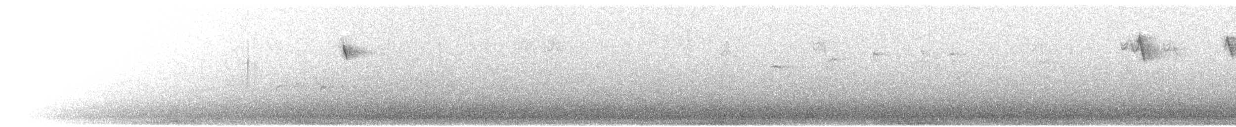 Mokolodi arrunta - ML647768014