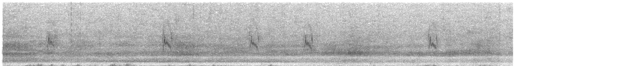 Richard's Pipit - ML647768061