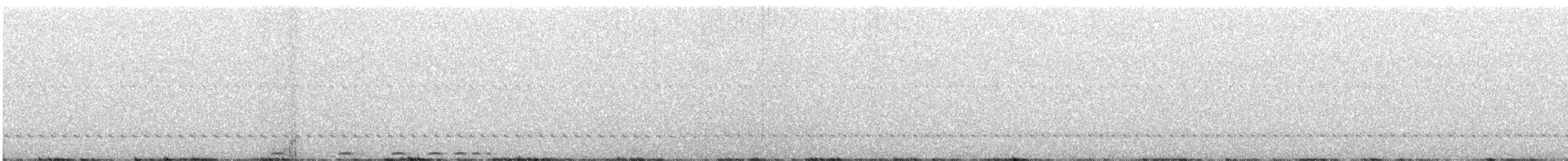 Западная совка - ML647769196