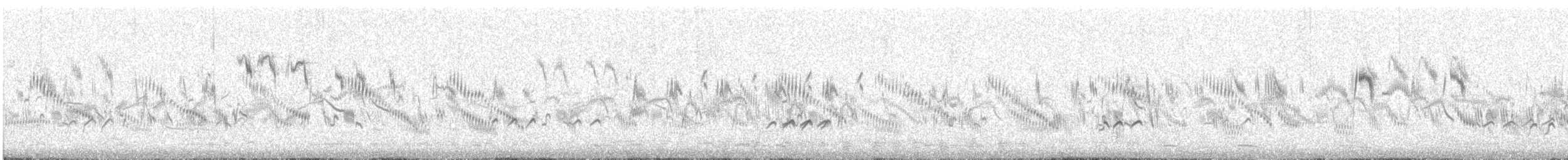 ソリハシシギ - ML647769529