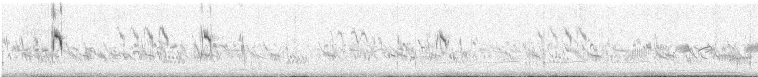 Citrine Wagtail (Gray-backed) - ML647769714